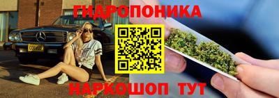 дмт Ставрополь